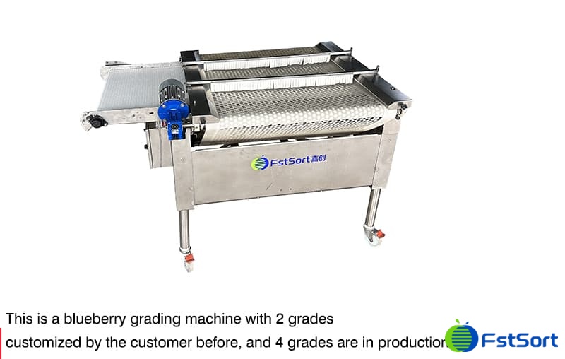 images/blueberry sorting grading machine.jpg images/blueberry sorting grading machine.jpg